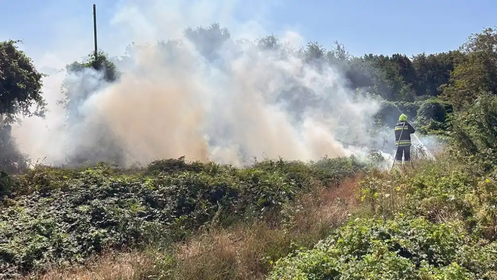 На Дніпропетровщині за добу вогонь знищив понад 32 гектари природних територій