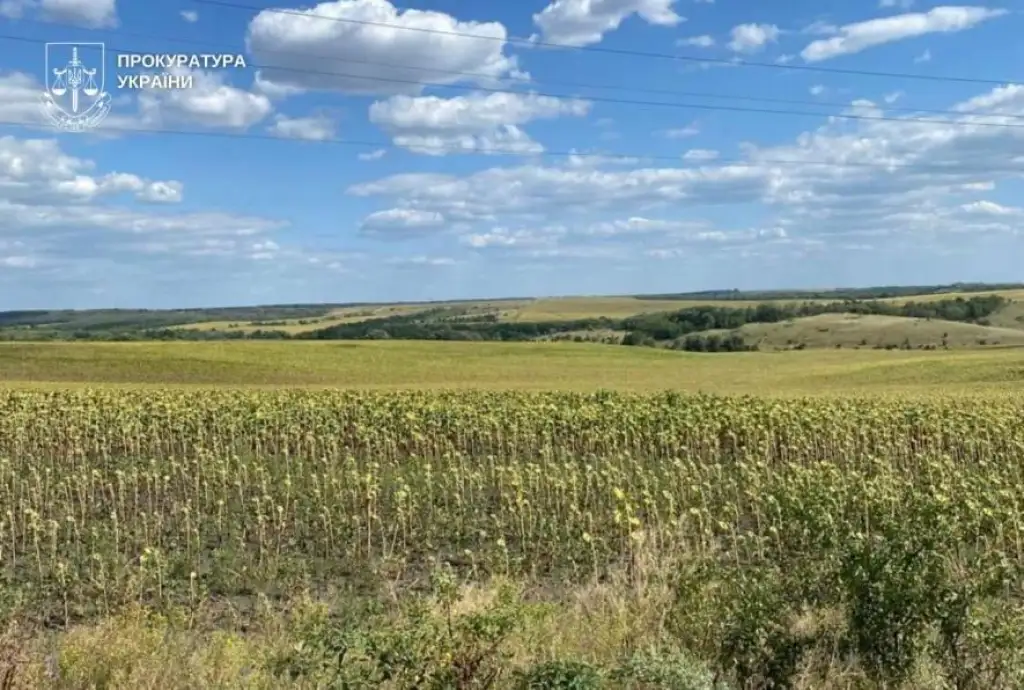 На Дніпропетровщині громадам повернули понад 700 гектарів землі: прокуратура виграла суд