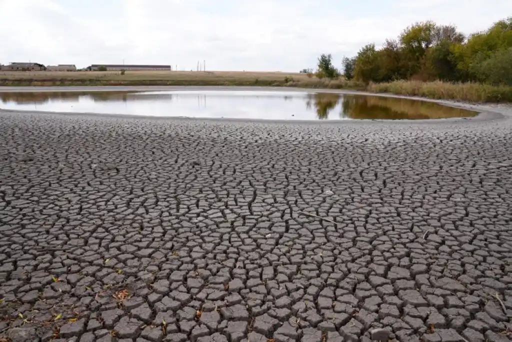 На Дніпропетровщині висихають ставки: люди залишились без води для худоби та господарства