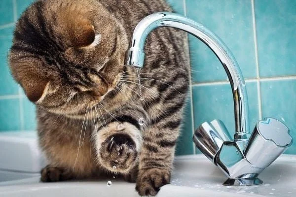 У Дніпрі зранку кілька вулиць залишилися без води та електрики через ремонтні роботи