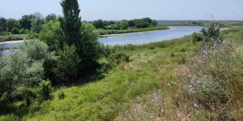 На Дніпропетровщині збережено унікальний заказник: держава повернула 28 гектарів лісу