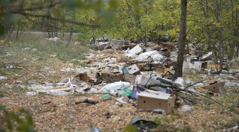 Перевірка скандального притулку під Дніпром: рештки тварин, сміття та нашестя щурів