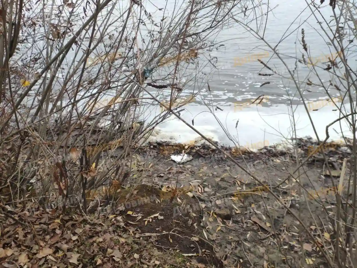 Забруднення води у Дніпрі: біля яхт-клубу “Січ” помітили скидання невідомої рідини