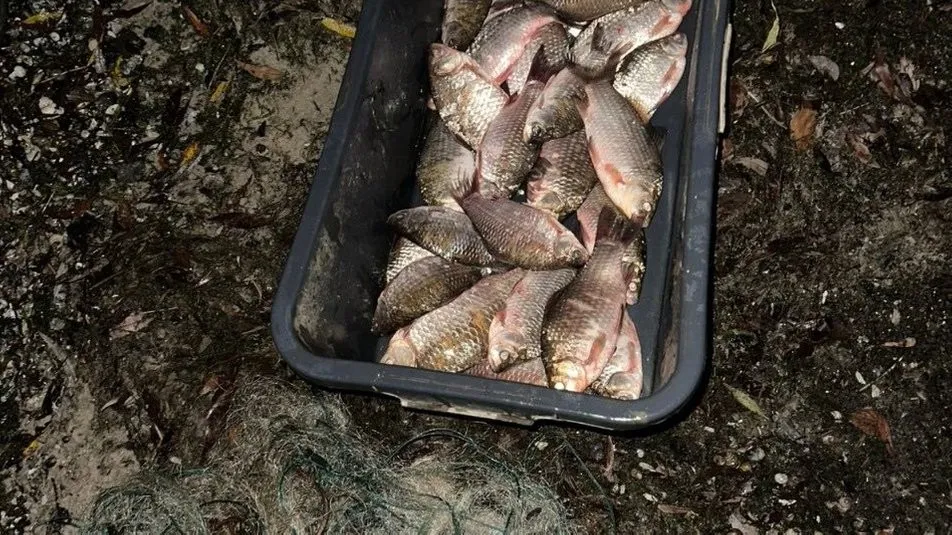 На Дніпровському водосховищі спіймали рибалку, який ловив карасів забороненою сіткою