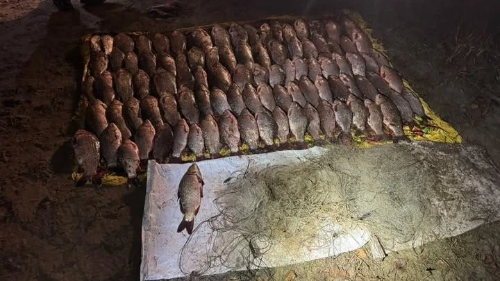 На водосховищі під Дніпром затримали нічних рибалок із забороненою сіткою