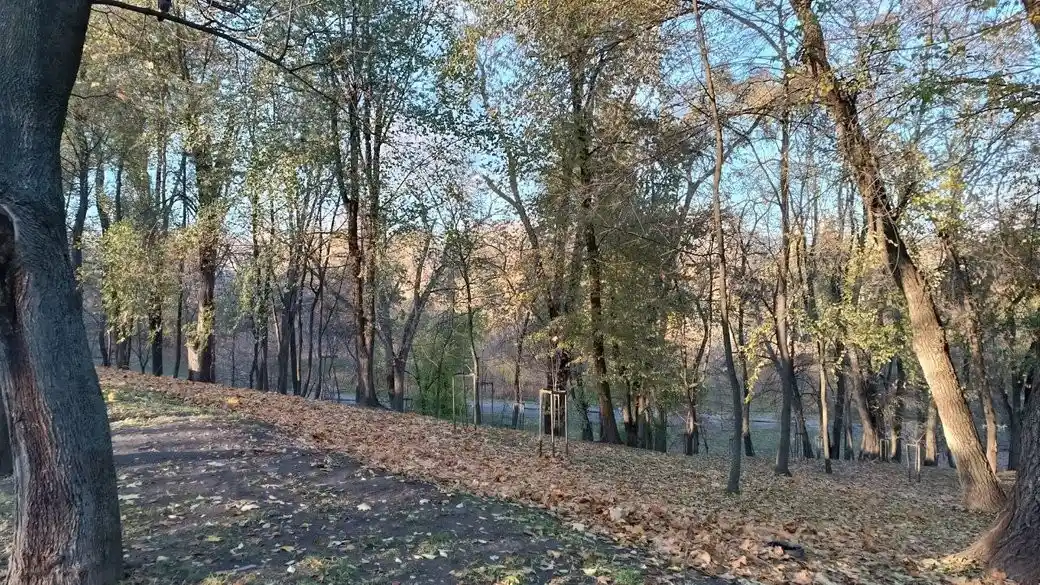 Листопад на Дніпропетровщині завершився теплішим за норму та з незначними опадами