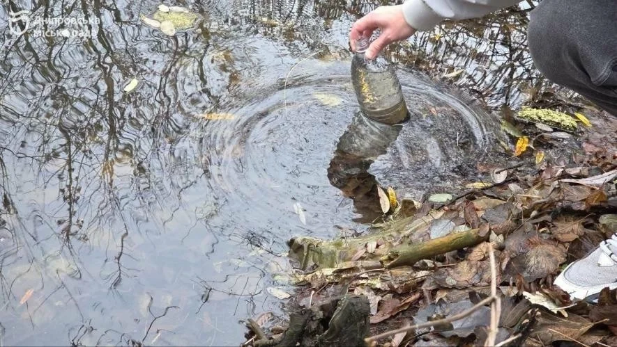У Дніпровських водоймах зростає рівень забруднення: експерти попереджають про небезпеку фосфатів