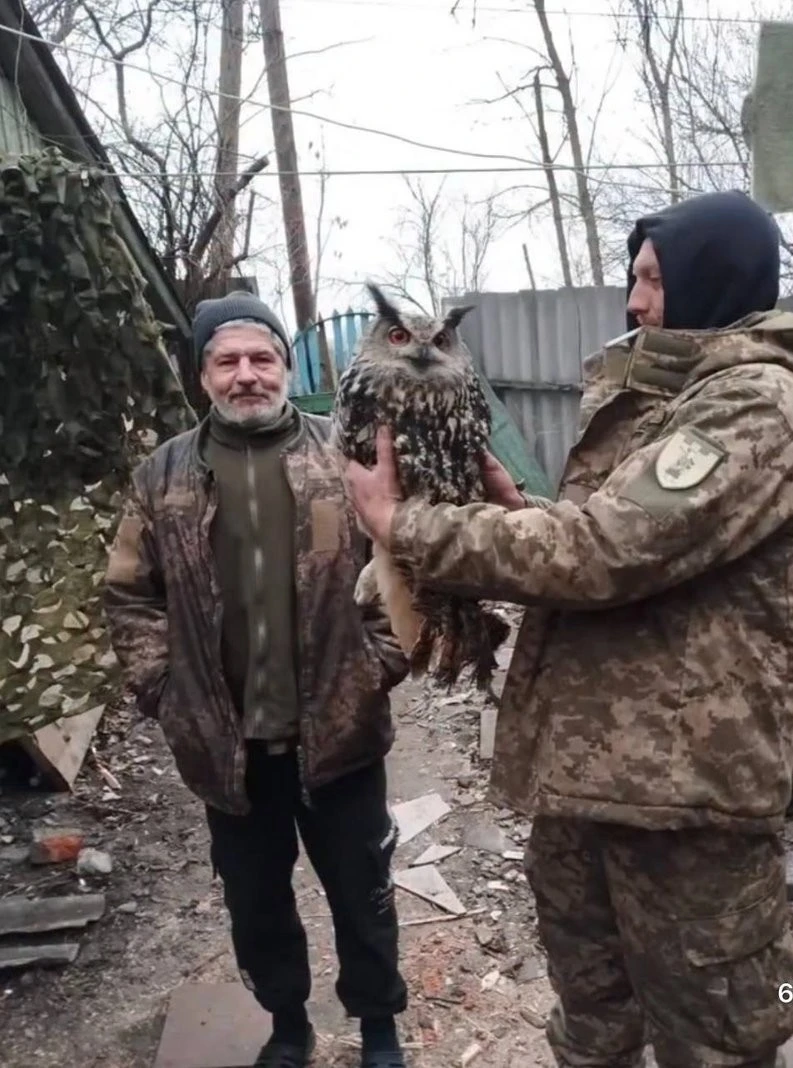 У Дніпрі рятують пораненого пугача, якого передали військові