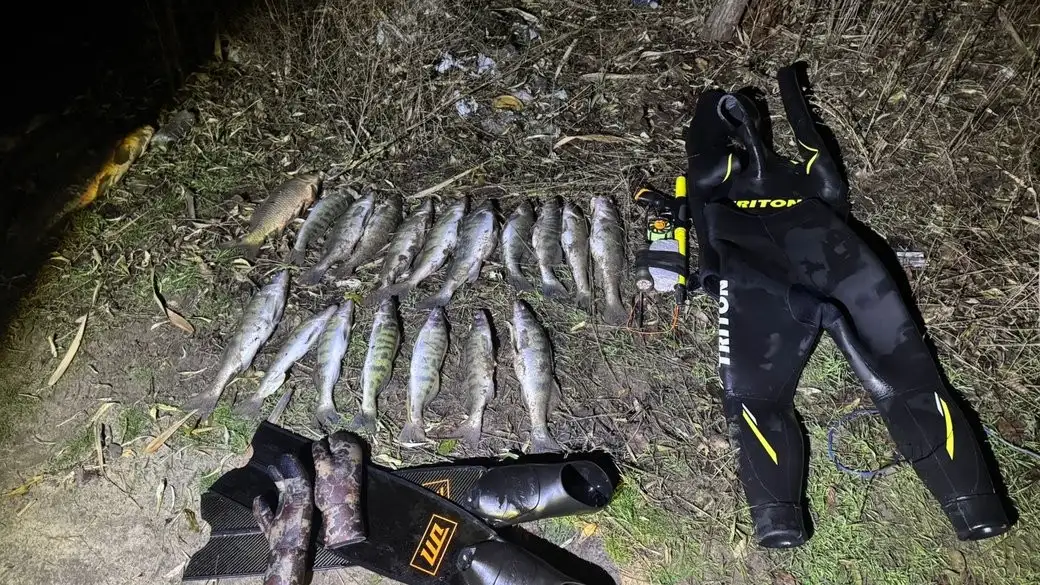 Підводне полювання без дозволу: на Дніпропетровщині зупинили браконьєрів