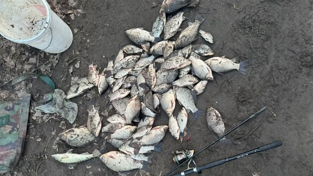 Понад 30 кілограмів риби з берега: на Дніпропетровщині зафіксували грубе порушення рибальських правил