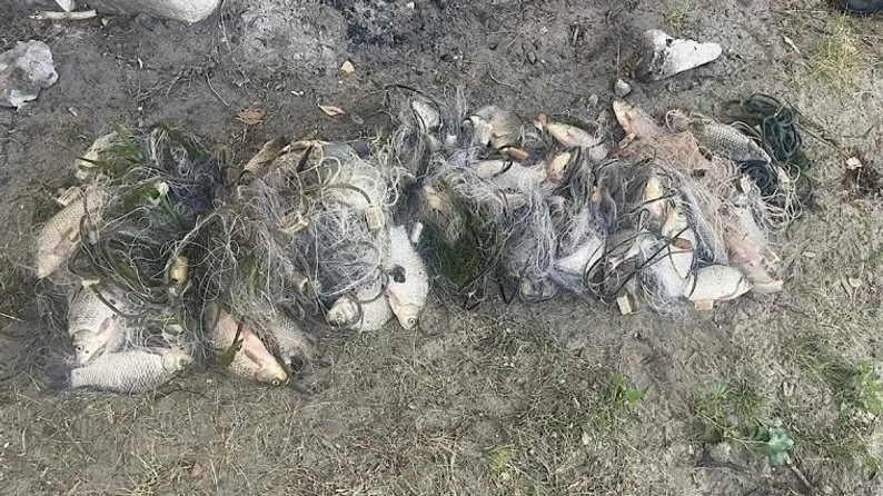 Незаконний улов на Дніпрі: рибалці з Орільського оголосили підозру
