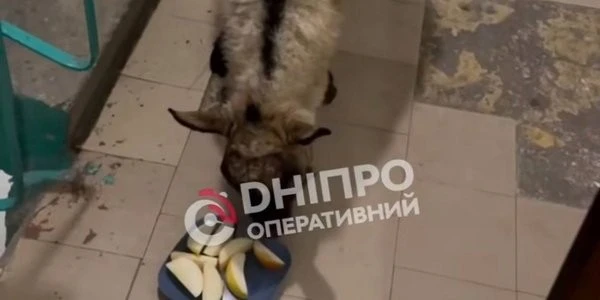 День тривоги: Дніпро накрила хвиля вибухів і небезпеки