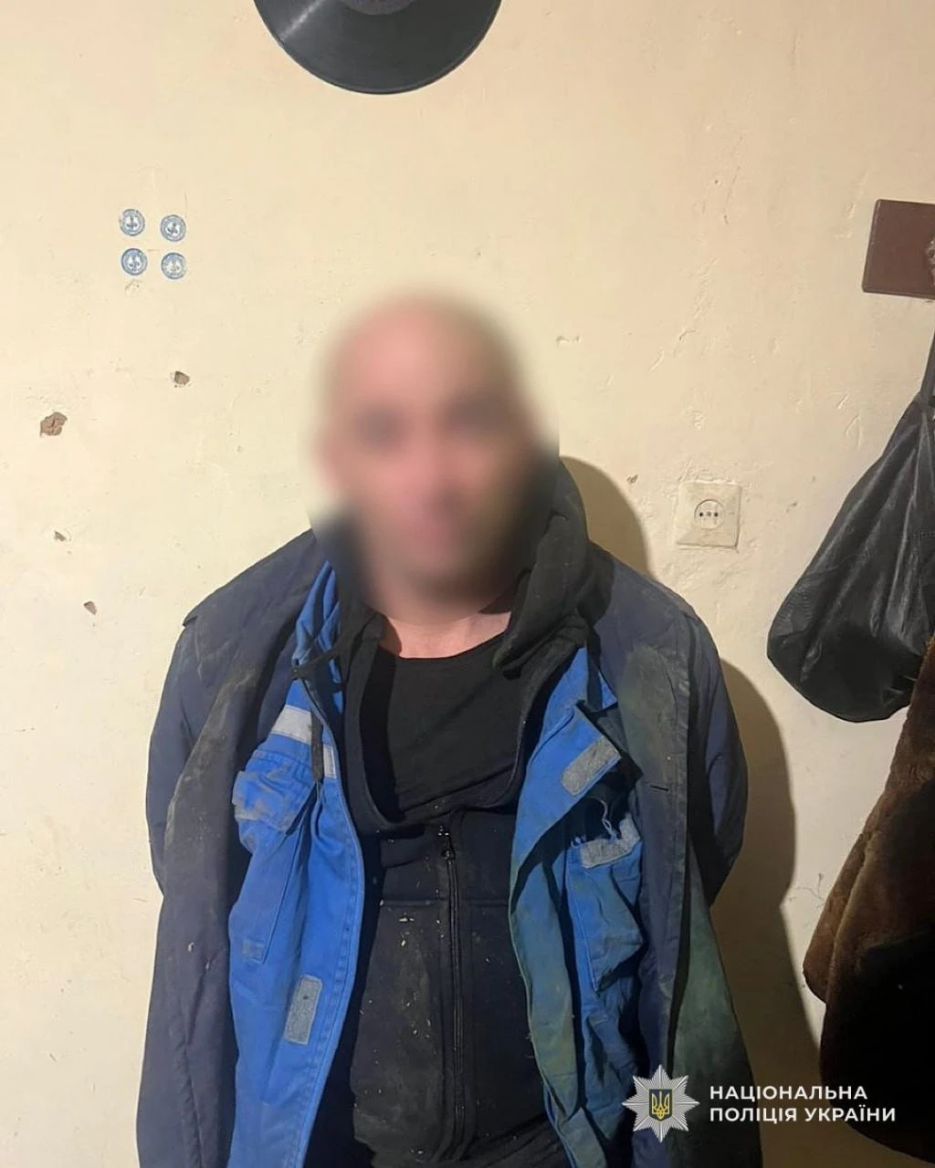 Чому картопля зеленіє і як убезпечити себе від соланіну: поради агронома
