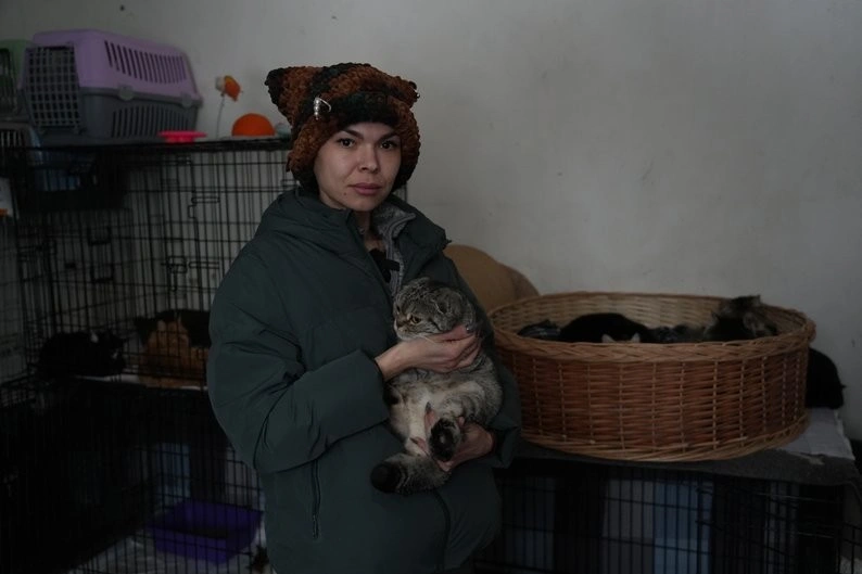 Евакуація з-під обстрілів: із прифронтової Межової вивезли шістьох хворих котів