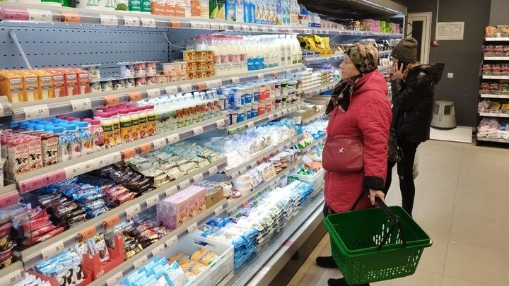 Евакуація з-під обстрілів: із прифронтової Межової вивезли шістьох хворих котів