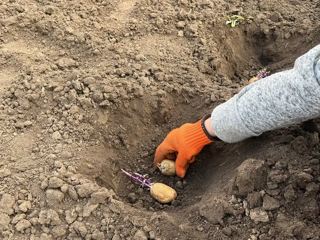 Бронзовий марафон пам’яті: у Дніпрі відкрили мініскульптуру на честь легендарного бігуна