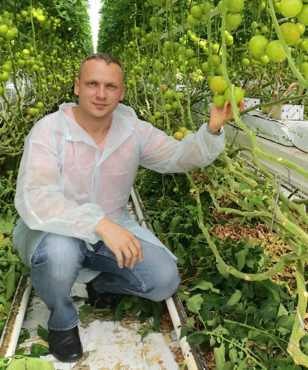 Картопляний сезон 2026: як не прогадати з термінами та отримати максимум від врожаю
