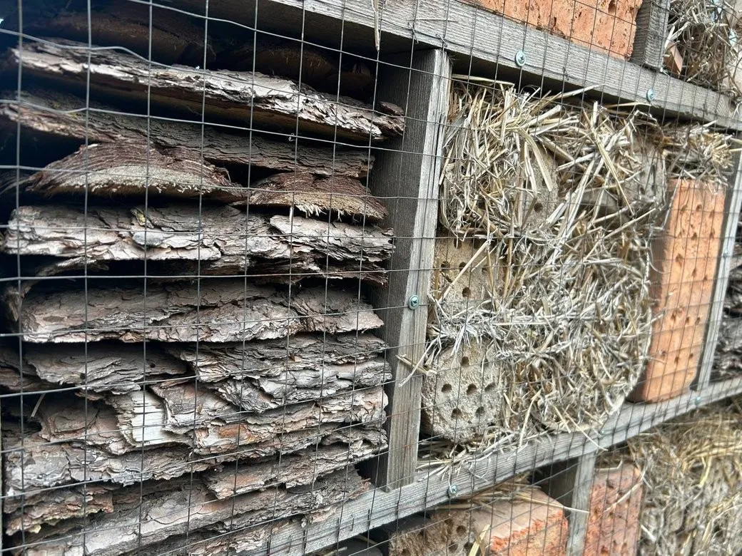 Павлоградські екологи запустили «готель» для боротьби зі шкідниками саду