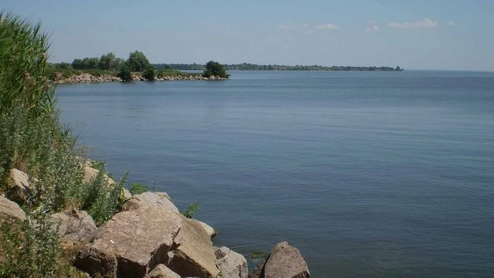 Річка Дніпро відроджується: осетер повертається до Запоріжжя після руйнації греблі