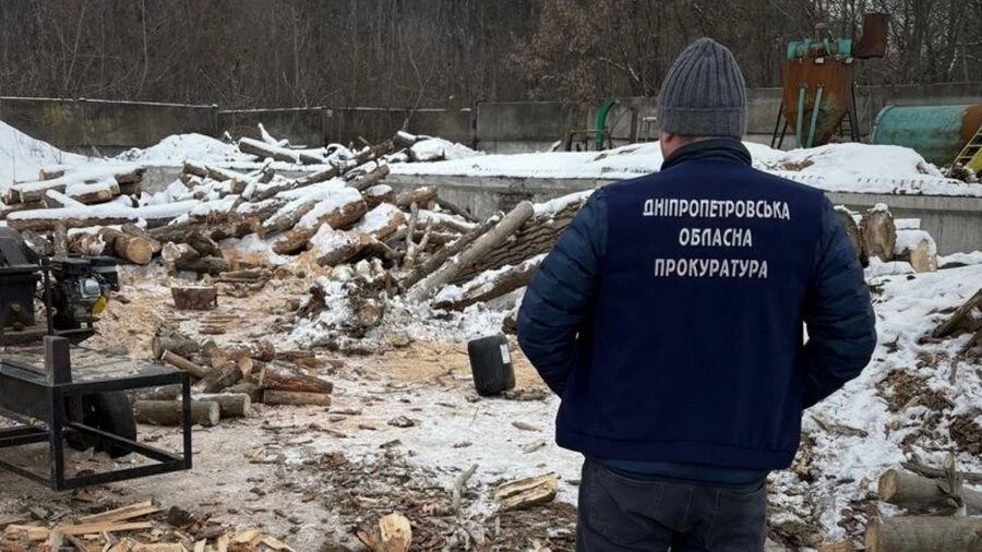 Масштабне нищення лісосмуг на Дніпропетровщині: справу «чорних лісорубів» передано до суду