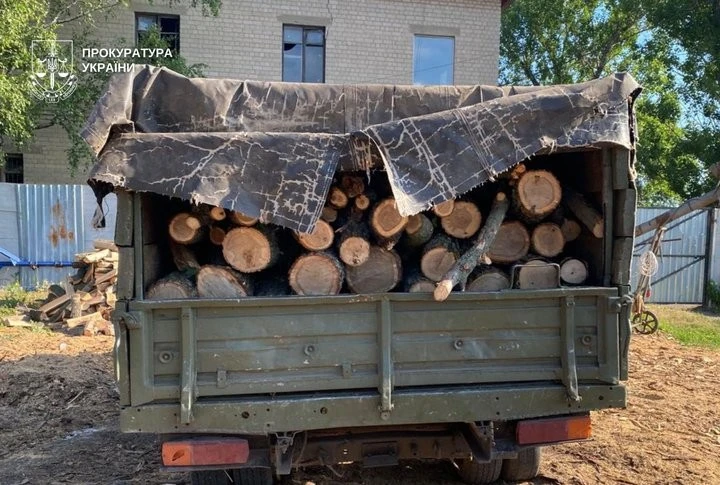 На Дніпропетровщині викрили незаконну заготівлю лісу із сотнями тисяч збитків