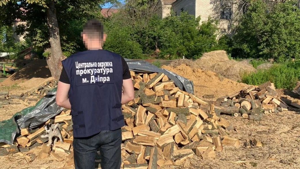 На Дніпропетровщині викрили незаконну заготівлю лісу із сотнями тисяч збитків