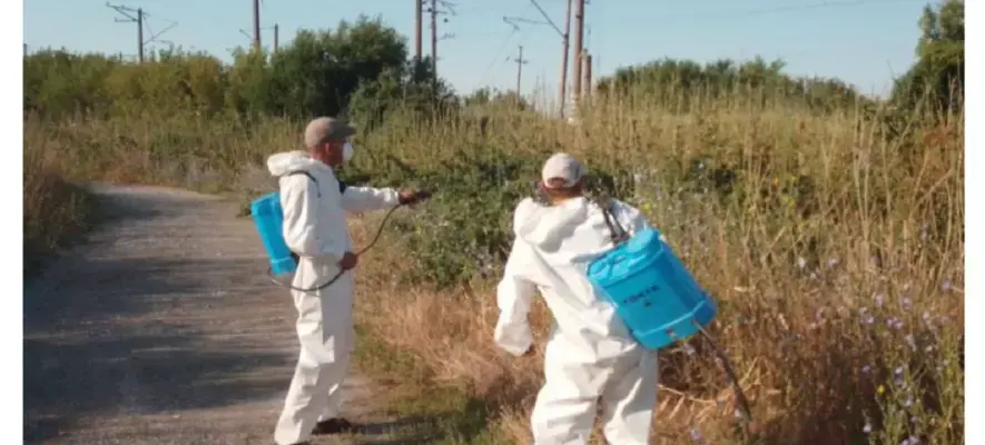 Критична загроза для бджіл: на Дніпропетровщині починають масову хімічну атаку проти сарани